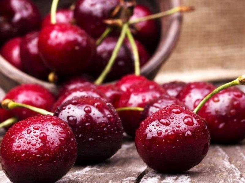 Вишня купить саженцы из питомника в Верхней Пышме